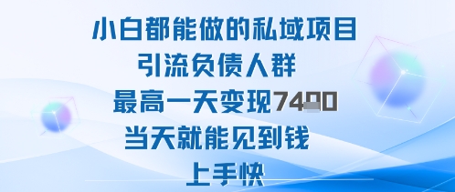 2025年小白都能做的私域项目引流负债人群最高一天变现1k+高变现难度低当天就能见到钱上手快-吾爱网创