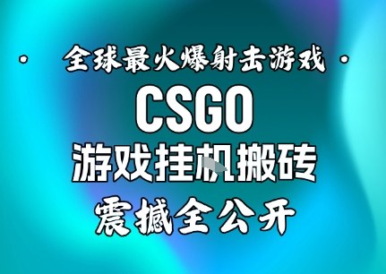 【年底大揭秘】基于全球最火爆的射击CSGO游戏挂G搬砖，日入5张+，震撼公开-吾爱网创
