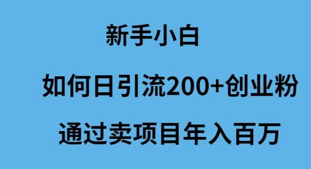 (9668期)新手小白如何日引流200+创业粉通过卖项目年入百万-吾爱网创