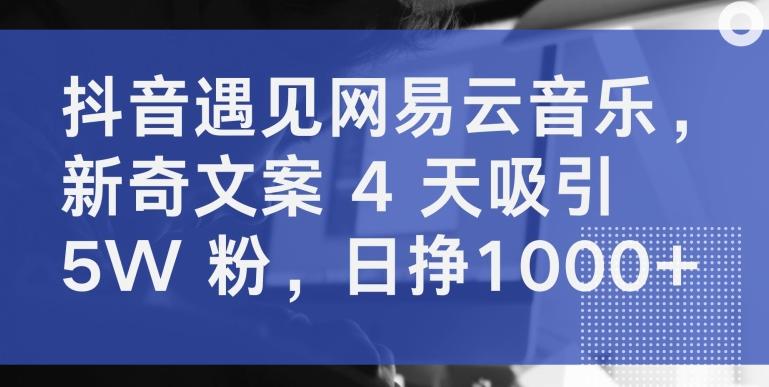 抖音遇见网易云音乐，新奇文案 4 天吸引 5W 粉，日挣1000+【揭秘】-吾爱网创