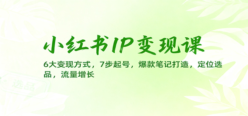 小红书IP变现课：6大变现方式，7步起号，爆款笔记打造，定位选品，流量增长-吾爱网创
