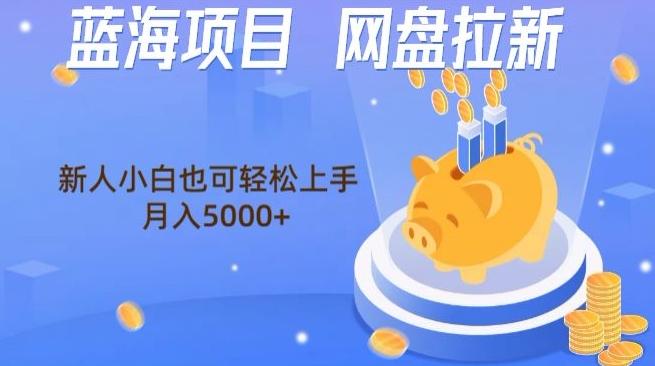 蓝海项目网盘拉新，新人小白也可操作，每月收入5000+-吾爱网创