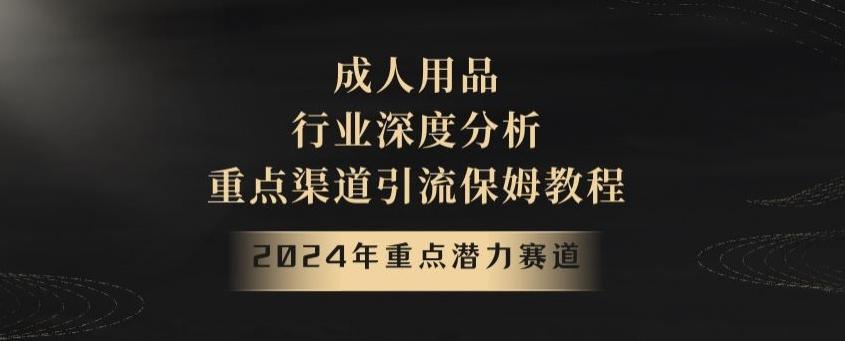 2024年重点潜力赛道,成人用品行业深度分析,重点渠道引流保姆教程【揭秘】-吾爱网创