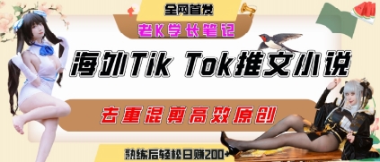 海外tiktok小说推文暴力项目，高停留率，高转化率，上手后一天搞顿饭钱不是问题-吾爱网创