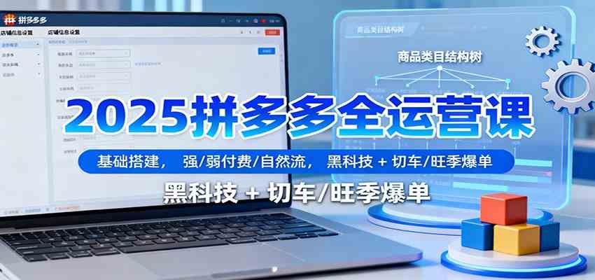 2025拼多多全运营课：基础搭建，强/弱付费/自然流，黑科技 + 切车/旺季爆单-吾爱网创