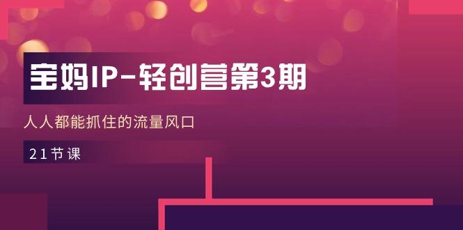 宝妈IP-轻创营第3期,人人都能抓住的流量风口(21节课-吾爱网创