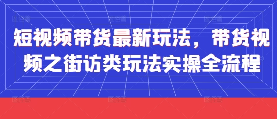 短视频带货最新玩法，带货视频之街访类玩法实操全流程-吾爱网创