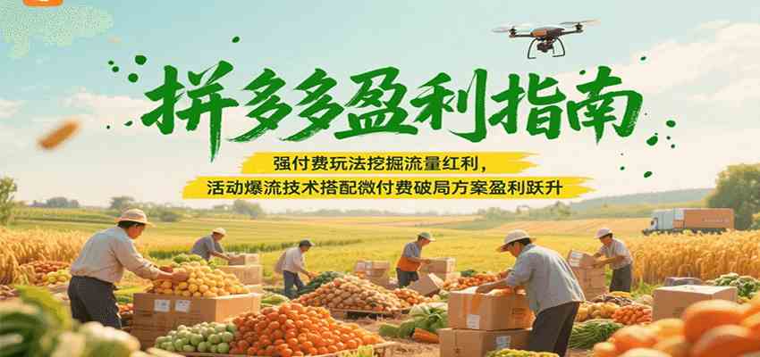 拼多多盈利指南：强付费玩法挖掘流量红利，活动爆流技术搭配微付费方案实现盈利跃升-吾爱网创