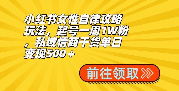 小红书女性自律攻略玩法,起号一周1W粉,私域情商干货单日变现500+-吾爱网创