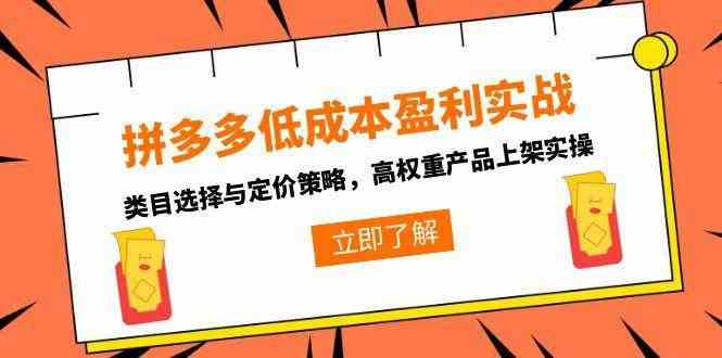 拼多多低成本盈利实战，类目选择与定价策略，高权重产品上架实操-吾爱网创