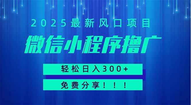 (14375期)微信小程序撸广,最新风口项目,日入300+ 免费分享 可批量操作 小白可…-吾爱网创