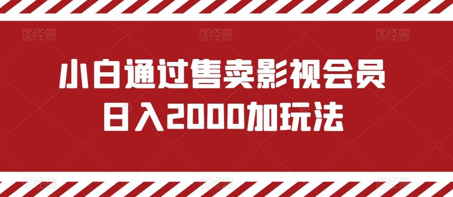 小白通过售卖影视会员日入2000加玩法-吾爱网创