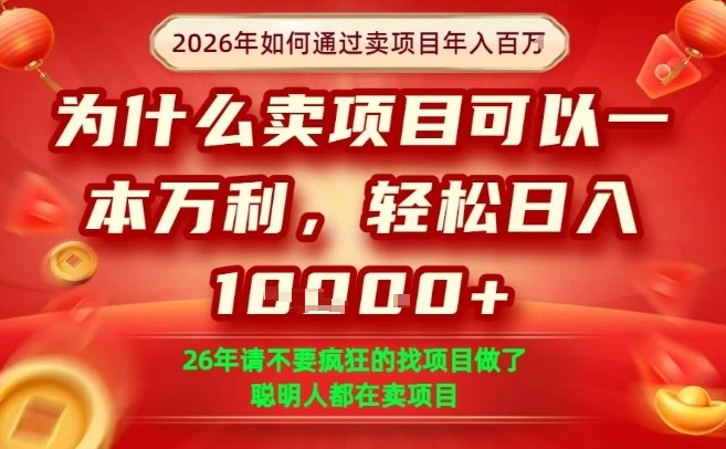 一单净利润1K+，26年想年入100个W，死磕卖项目就够了【揭秘】-吾爱网创