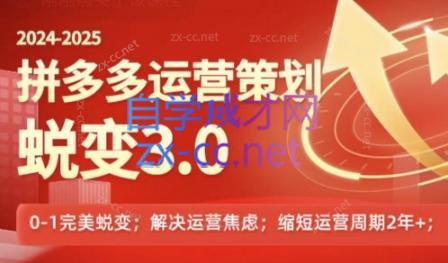 大力老师·2024拼多多运营策略蜕变3.0-吾爱网创
