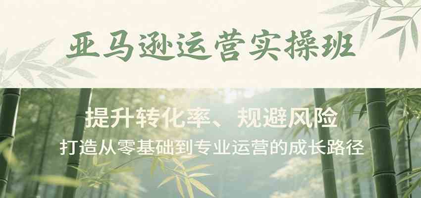 亚马逊运营实操班，提升转化率、规避风险，打造从零基础到专业运营的成长路径-吾爱网创