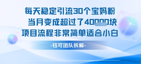 每天稳定引流30个人 当月变成超过了4个W项目流程非常简单适合小白-吾爱网创