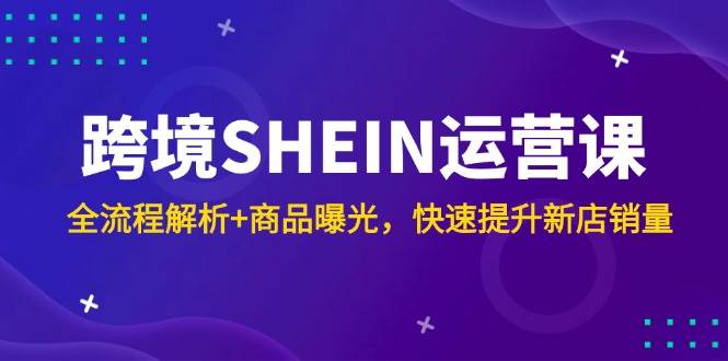 （14832期）跨境SHEIN运营课，全流程解析+商品曝光，快速提升新店销量-吾爱网创