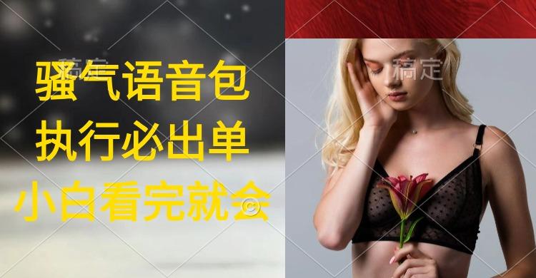 (9589期)执行就出单,日入2000+,超火骚气语音包,小白看完课程就能马上实操-吾爱网创