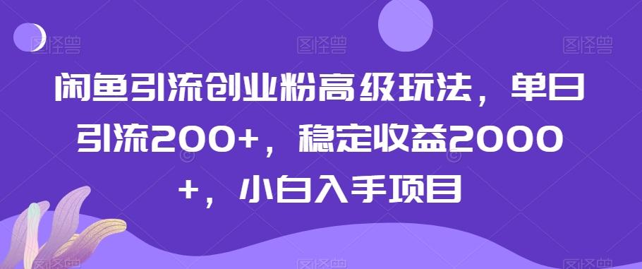闲鱼引流创业粉高级玩法，单日引流200+，稳定收益2000+，小白入手项目-吾爱网创