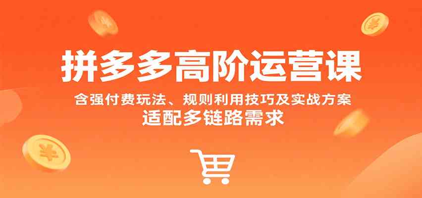 拼多多高阶运营课，含强付费玩法、规则利用技巧及实战方案，适配多链路需求-吾爱网创