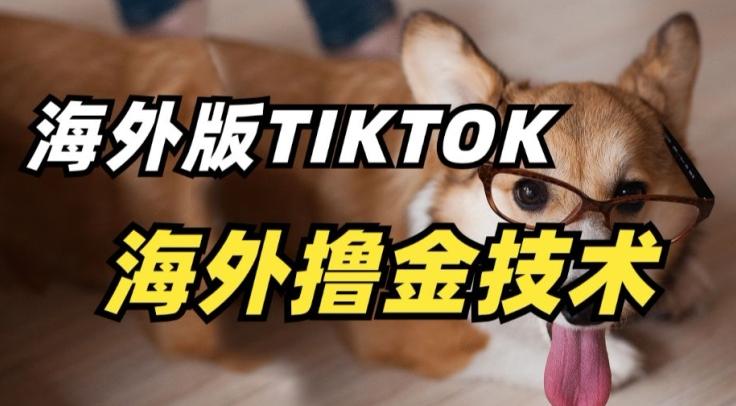 抖音海外版tiktok撸金技术，这个风口行业，赚钱真的不难【揭秘】-吾爱网创