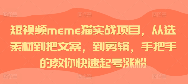 短视频meme猫实战项目，从选素材到把文案，到剪辑，手把手的教你快速起号涨粉-吾爱网创
