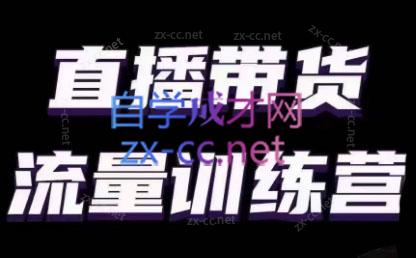 婉婉·直播带货课程系列合集(更新8月)-吾爱网创