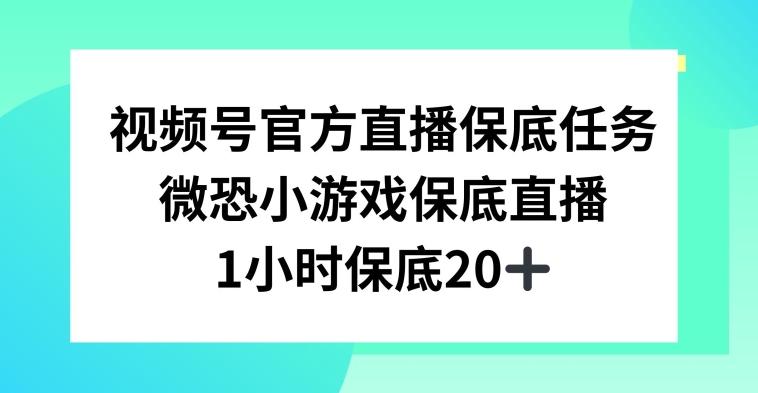 视频号直播任务，微恐小游戏，1小时20+【揭秘】-吾爱网创