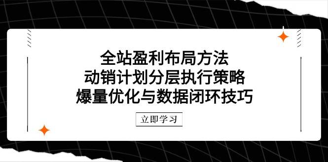 （14698期）全站盈利布局方法：动销计划分层执行策略，爆量优化与数据闭环技巧-吾爱网创