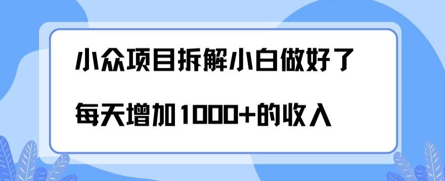 小众项目拆解,小白做好了每天可增加1000多的收入-吾爱网创