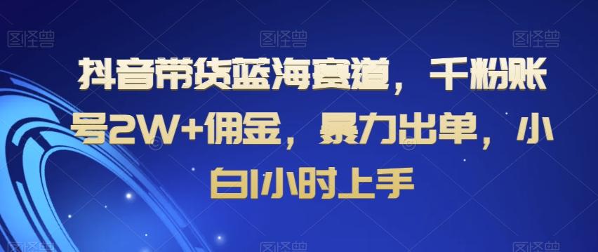 抖音带货蓝海赛道，千粉账号2W+佣金，暴力出单，小白1小时上手【揭秘】-吾爱网创