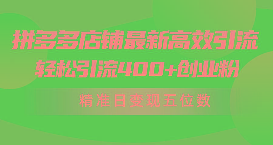(10041期)拼多多店铺最新高效引流术，轻松引流400+创业粉，精准日变现五位数！-吾爱网创