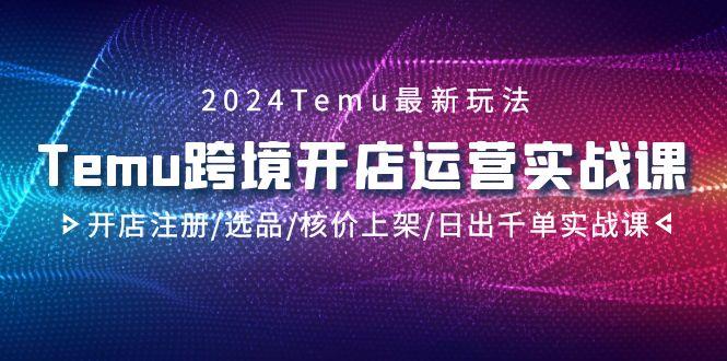 2024Temu跨境开店运营实战课，开店注册/选品/核价上架/日出千单实战课-吾爱网创