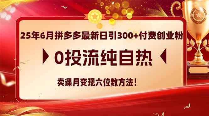 （14989期）25年6月拼多多最新日引300+付费创业粉，0投流纯自热 卖课月变现六位数方法-吾爱网创
