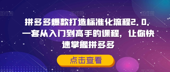 拼多多爆款打造标准化流程2.0，一套从入门到高手的课程，让你快速掌握拼多多-吾爱网创