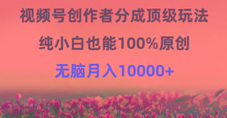 (9608期)视频号创作者分成顶级玩法，纯小白也能100%原创，无脑月入10000+-吾爱网创