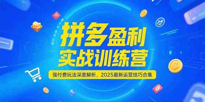 拼多多盈利实战训练营，强付费玩法深度解析，2025最新运营技巧合集-吾爱网创