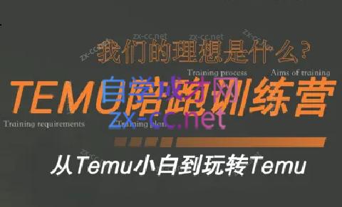 苗苗·拼多多跨境（temu）课程-吾爱网创