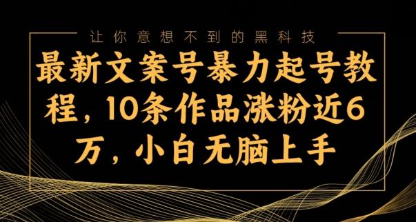 最新文案号暴力起号教程，10条作品涨粉近6万，小白无脑上手-吾爱网创