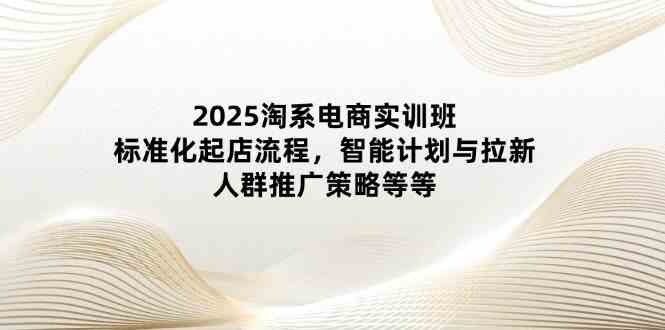 2025淘系电商实训班：标准化起店流程，智能计划与拉新，人群推广策略等等-吾爱网创