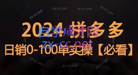 恒哥·2024拼多多日销0-100单实操-吾爱网创