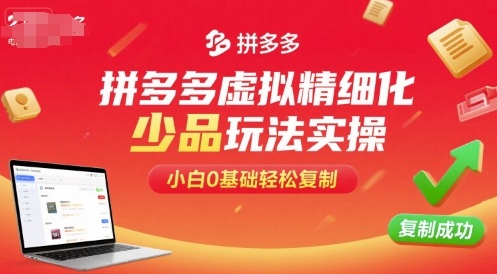 拼多多虚拟精细化少品玩法实操，小白0基础轻松复制-吾爱网创