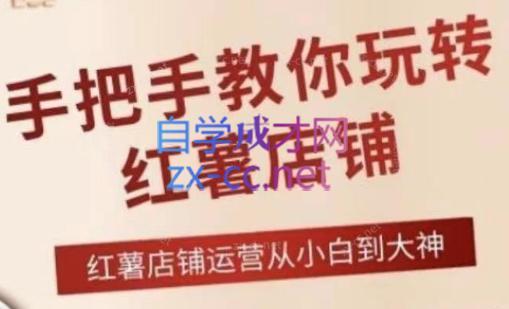 海燕老师·2024手把手教你玩转红薯店铺-吾爱网创