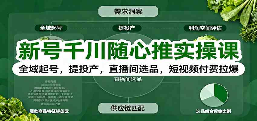 新号千川随心推实操课:全域起号,提投产,直播间选品,短视频付费拉爆-吾爱网创