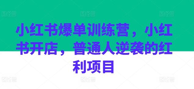 小红书爆单训练营，小红书开店，普通人逆袭的红利项目-吾爱网创