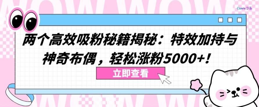 两个高效吸粉秘籍揭秘：特效加持与神奇布偶，轻松涨粉5000+【揭秘】-吾爱网创