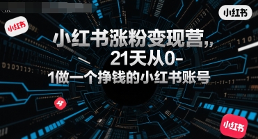 小红书涨粉变现营，21天从0-1做一个挣钱的小红书账号-吾爱网创