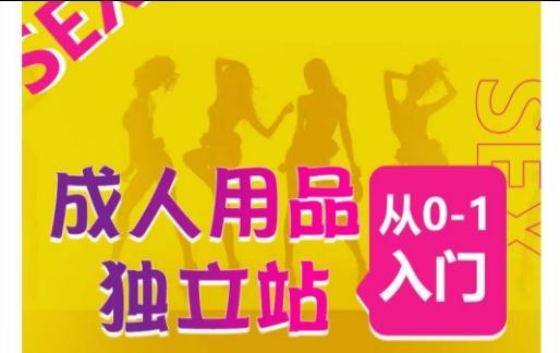 成人用品独立站从0-1入门，成品独立站运营全流程教学，七大好卖成品独立站推荐-吾爱网创