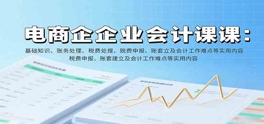 电商企业会计课:基础知识、账务处理、税费申报、账套建立及会计工作难点等实用内容-吾爱网创