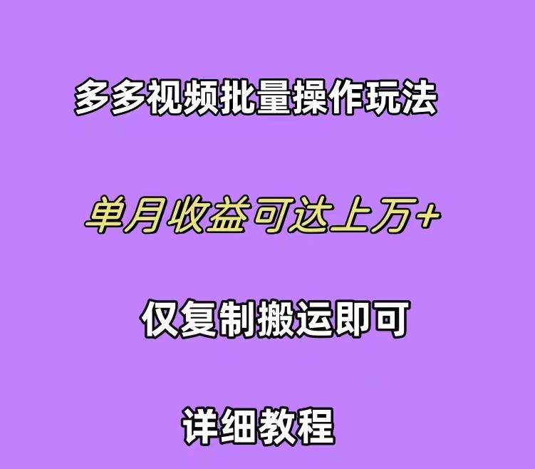 (10029期)拼多多视频带货快速过爆款选品教程 每天轻轻松松赚取三位数佣金 小白必…-吾爱网创